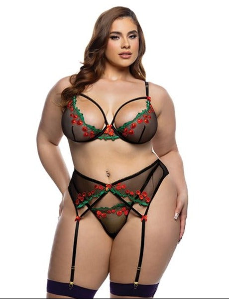 Cherry Delight Embroidered Lace and Mesh Underwire Bra w/Garter & G-String 3 pc Set - Black 1X